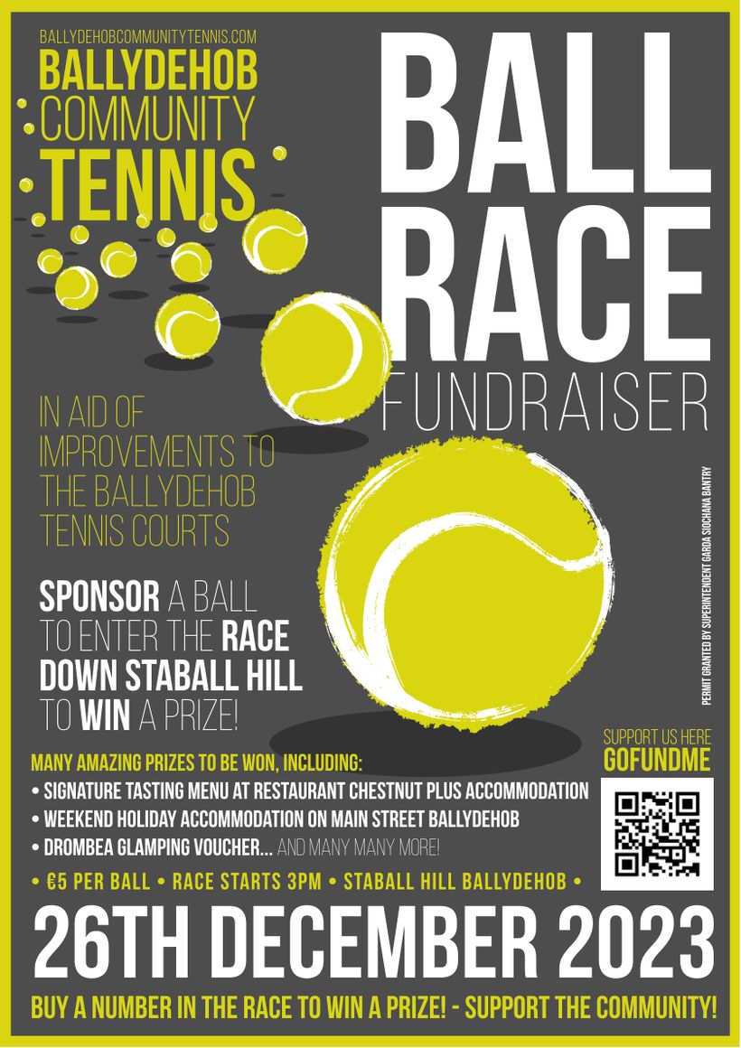 Ball race poster